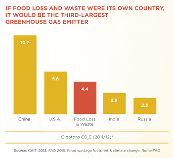 climate change graph food