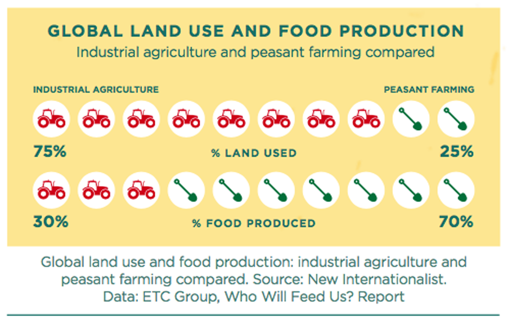 Global Land Use and Food Production Statistics