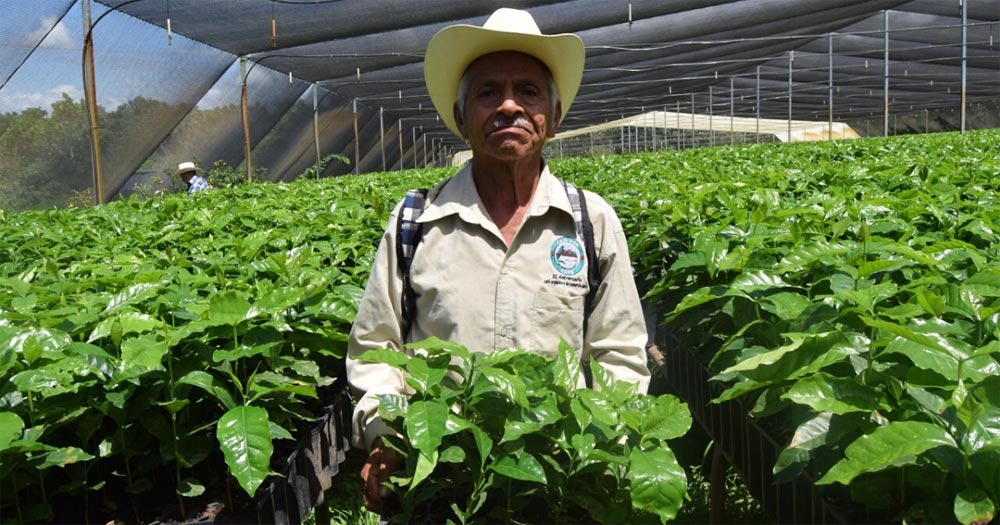 CESMACH Fair Trade Coffee Nursery